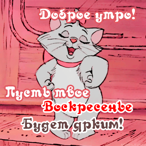Смешная гифка с танцующей кошкой, для детей и пожеланием яркого Воскресного утра.