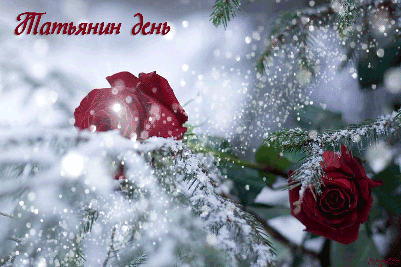 На нашем сайте вы можете скачать бесплатно анимации с татьяниным днëм.