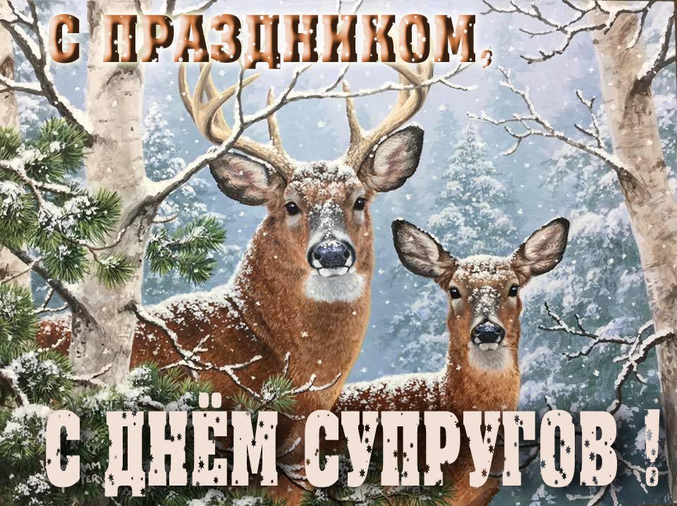 Новая зимняя открытка с оленями в лесу и надписью "С праздником, с днём Супругов!".