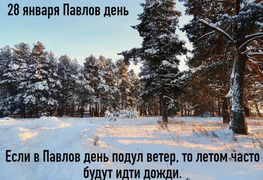 Если в Павлов день подул ветер, то летом часто будут идти дожди. Если в Павлов день подул ветер, то летом часто будут идти дожди.