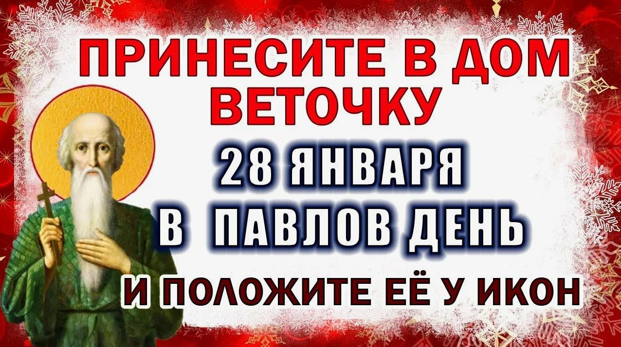 Принесите в дом веточку 28 Января в Павлов день и положите её у икон. Принесите в дом веточку 28 Января в Павлов день и положите её у икон.