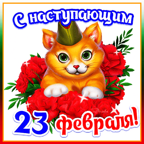 Анимированный gif стикер с котом к наступающему 23 февраля. Анимированный gif стикер с котом к наступающему 23 февраля.