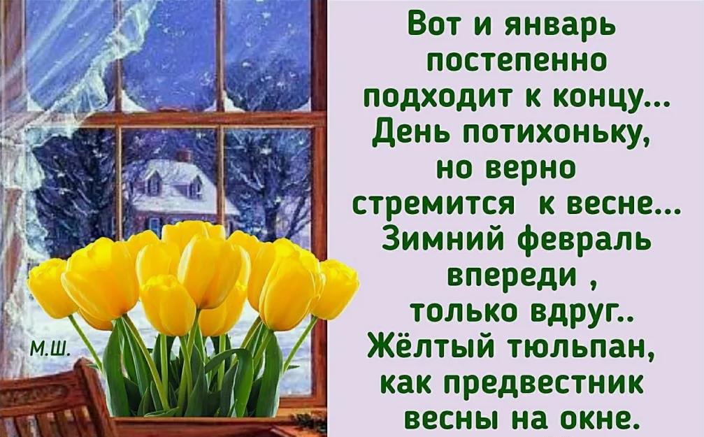 Зимние картинки последний день уходящего Января 2024.