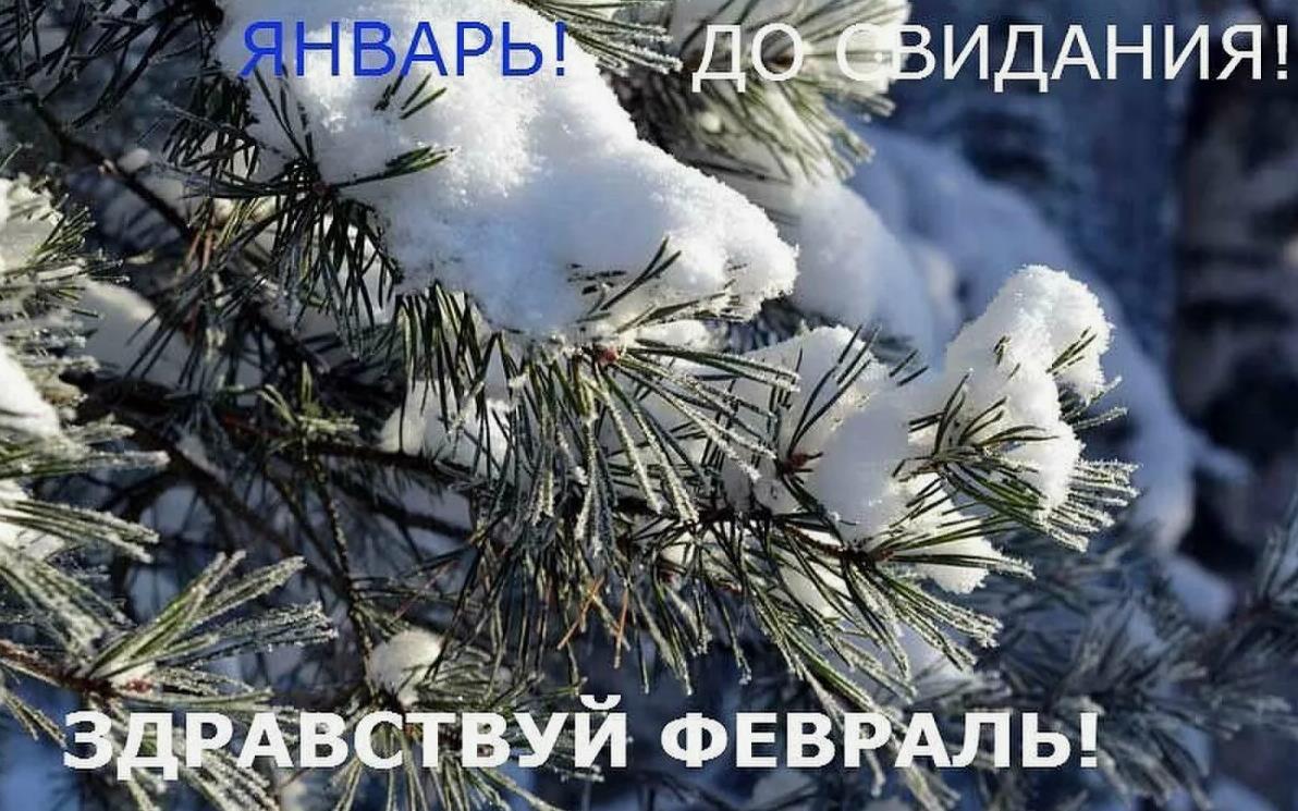 Вот и январь постепенно подходит к концу.