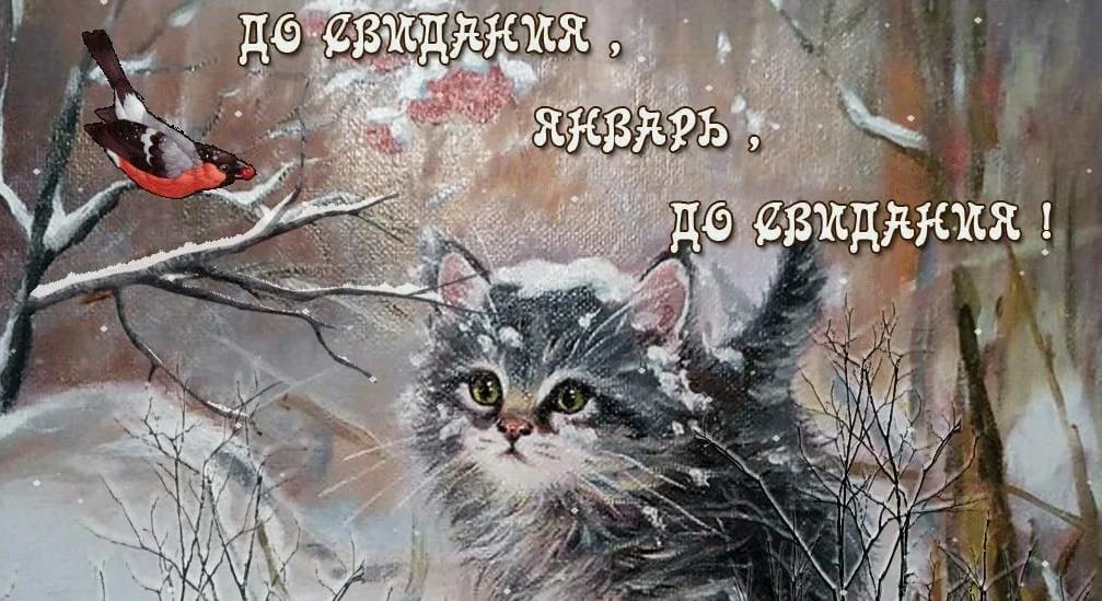 Фото ПРОЩАЙ ЯНВАРЬ, ИЛИ ДАВАЙ, ДО ВСТРЕЧИ!