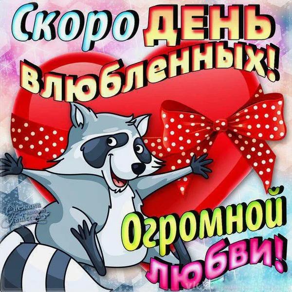 Классная открытка с енотом "Скоро день Влюблённых!".