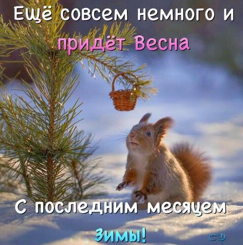 Остается потерпеть последний месяц зимы и наступит теплая пора.