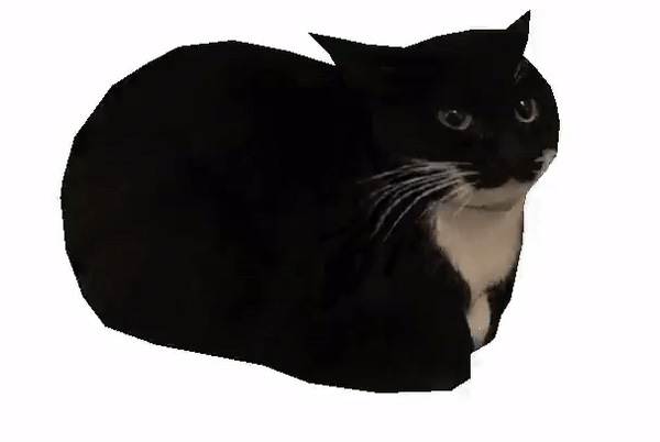 Гифка Maxwell Cat вращающийся на прозрачном фоне.