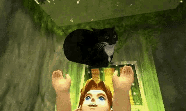 Низкополигональная депрессия Maxwell Cat Spinning Zelad Video Game GIF