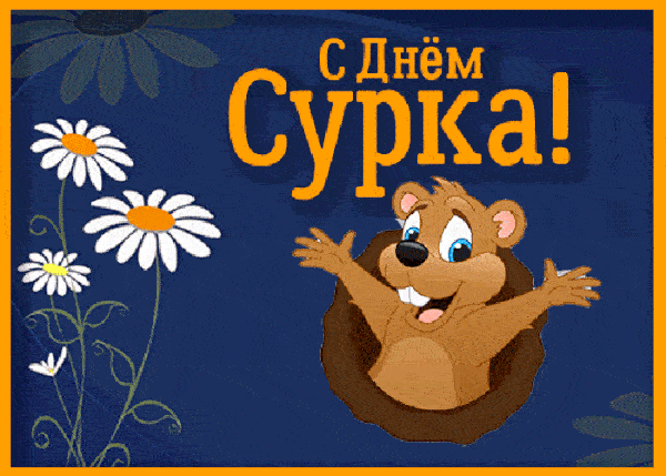 Позитивная анимация с сурком в ожидании весны. Позитивная анимация с сурком в ожидании весны.