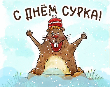 Шуточные мерцающие гифки с анимацией на День Сурка Шуточные мерцающие гифки с анимацией на День Сурка