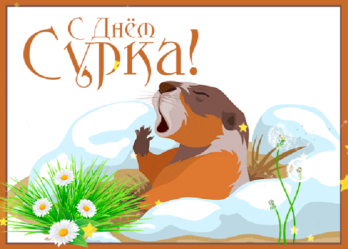 GIF "День сурка". GIF "День сурка".