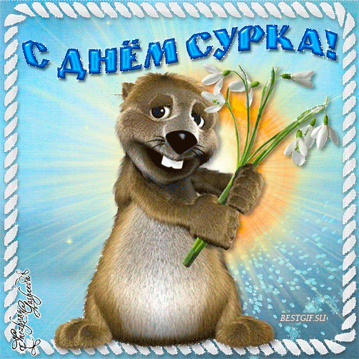 Блестящая картинка сурок с цветами. Блестящая картинка сурок с цветами.