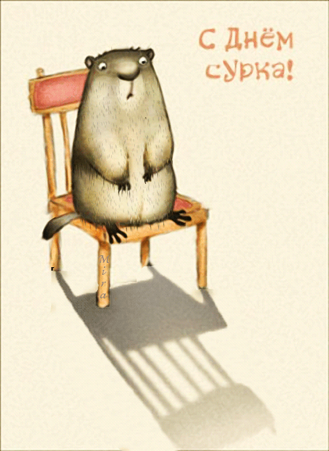 Забавная анимация на день сурка с юмором. Забавная анимация на день сурка с юмором.