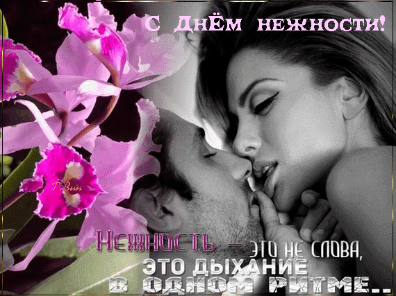 Сексуальная gif картинка для влюблённых на день нежности.
