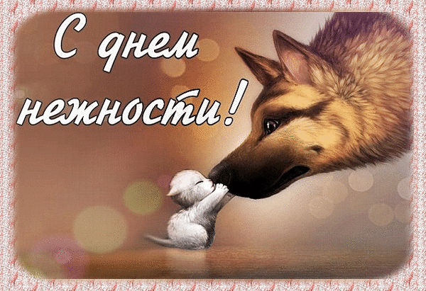 Смешная блестящая гиф открытка с животными на день нежности 2024.