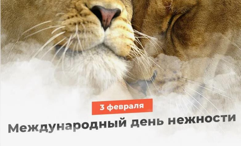 Прикольные открытки с Днем нежности 3 Февраля.