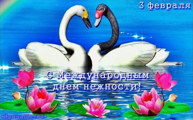 Оригинальная картинка с лебедями на 3 февраля.