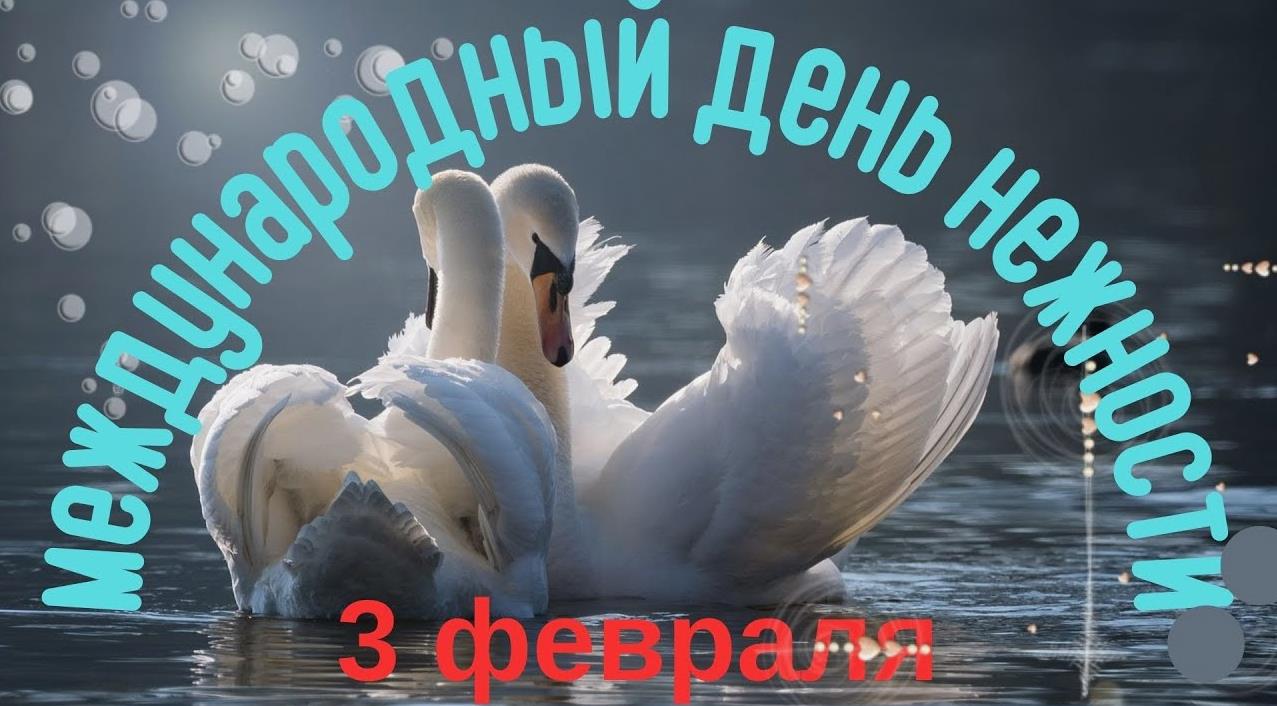 Новая красивая открытка с парой лебедей на день нежности.