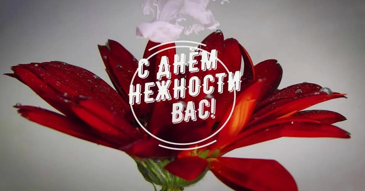 Цветы в день нежности для вас.