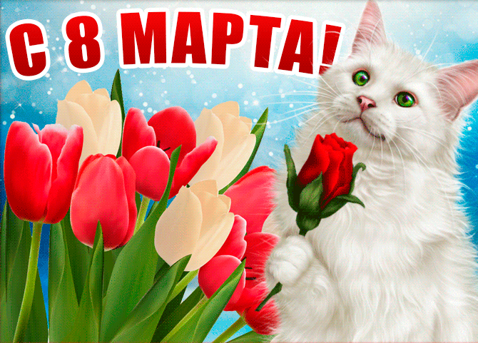 Красивая анимация котик в тюльпанах поздравляет дам с 8 Марта. Красивая анимация котик в тюльпанах поздравляет дам с 8 Марта.