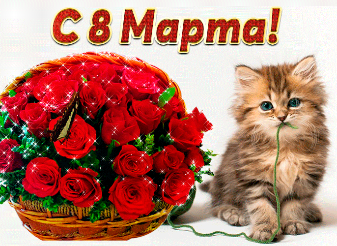 Мерцающая gif картинка котёнок и розы на 8 Марта 2024. Мерцающая gif картинка котёнок и розы на 8 Марта 2024.
