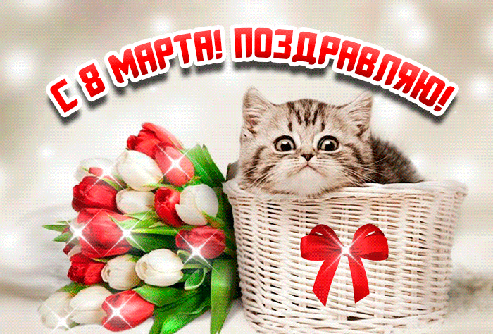 Блестящая анимация с тюльпанами и котёнком и надписью "С 8 Марта! Поздравляю!". Блестящая анимация с тюльпанами и котёнком и надписью "С 8 Марта! Поздравляю!".