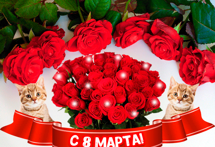 Самой лучшей девочке на 8 марта Самой лучшей девочке на 8 марта