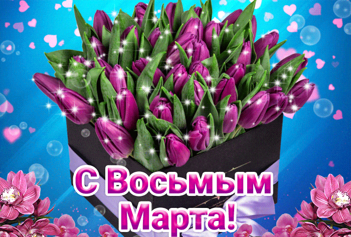 Блестящая и мигающая анимация с фиолетовыми тюльпанами в коробке для любимой на 8 Марта. Блестящая и мигающая анимация с фиолетовыми тюльпанами в коробке для любимой на 8 Марта.