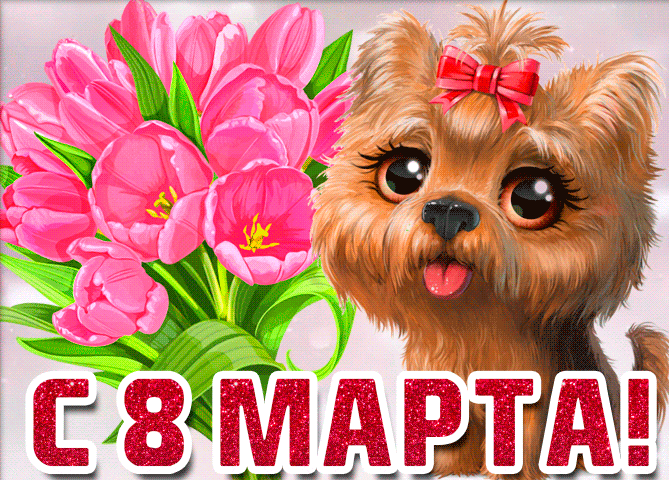 Милая собачка с тюльпанами поздравляет с 8 Марта. Оригинальной поздравление для девушки. Милая собачка с тюльпанами поздравляет с 8 Марта. Оригинальной поздравление для девушки.