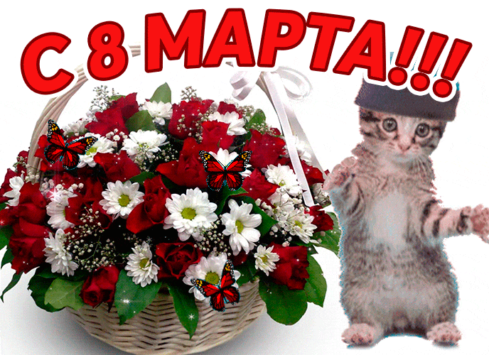 Смешная гифка с танцующим котом для женщин. Смешная гифка с танцующим котом для женщин.