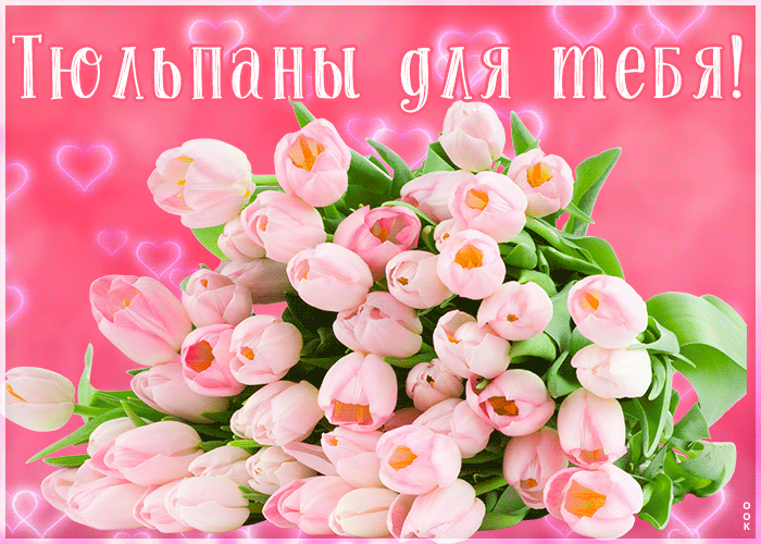 Очень красивая гифка с нежными розовыми тюльпанами для Любимой.