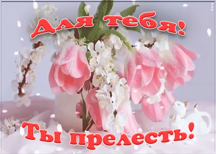 Анимация Прелестные тюльпаны для тебя.