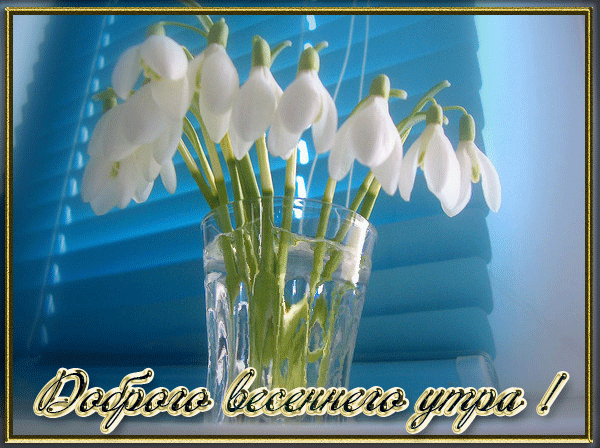 Гифы, Гифочки и Анимашки с ландышами добрым весенним утром для любимой. Гифы, Гифочки и Анимашки с ландышами добрым весенним утром для любимой.