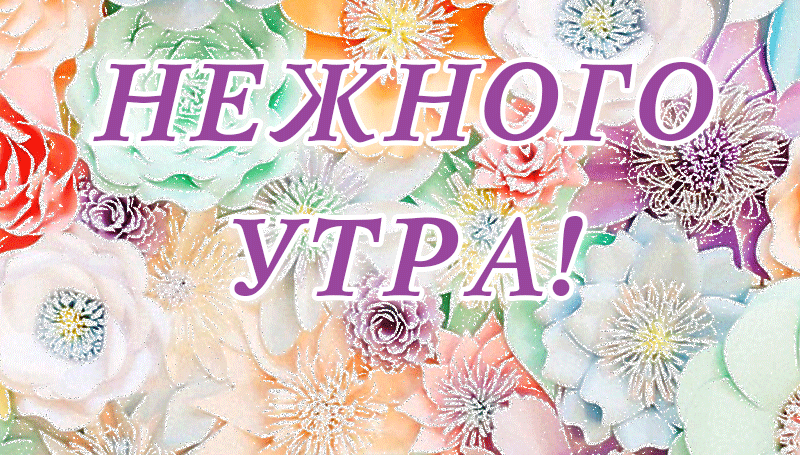 Цветочная анимация с надписью "Нежного утра!" этой весной. Цветочная анимация с надписью "Нежного утра!" этой весной.