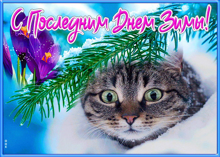Смешная мигающая гифка с последним днем зимы с котом в сугробе.