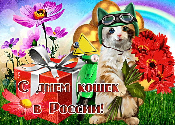 Живая открытка С днем кошек в России 1 Марта 2024.