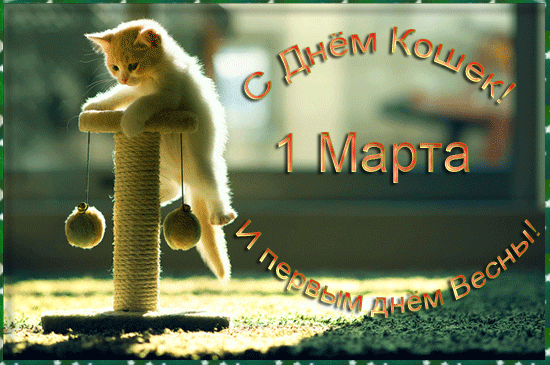 Солнечная анимация на 1 Марта день кошек и первый день весны.
