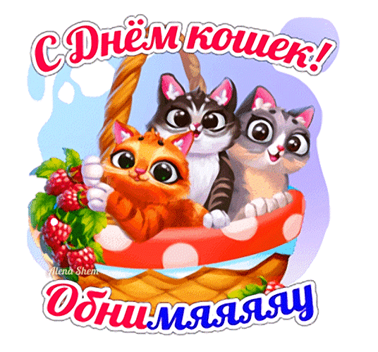 Анимированный стикер на прозрачном фоне "С днём Кошек! Обнимяяяу".