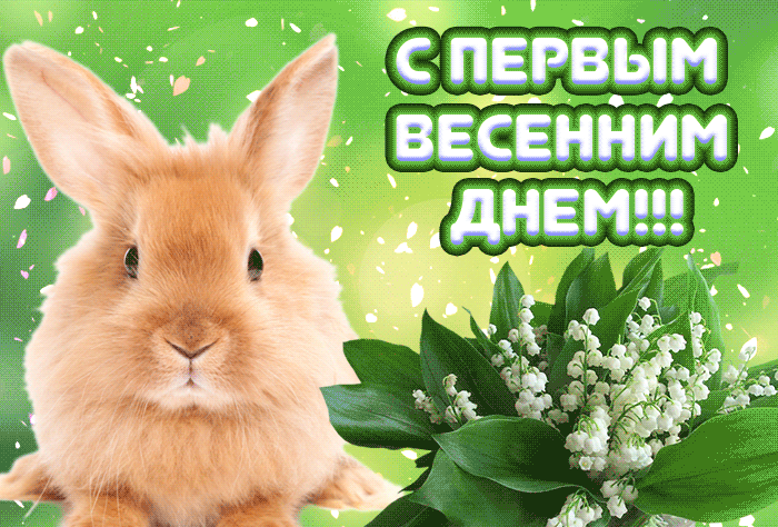 Зайка поздравляет с началом весны. Зайка поздравляет с началом весны.