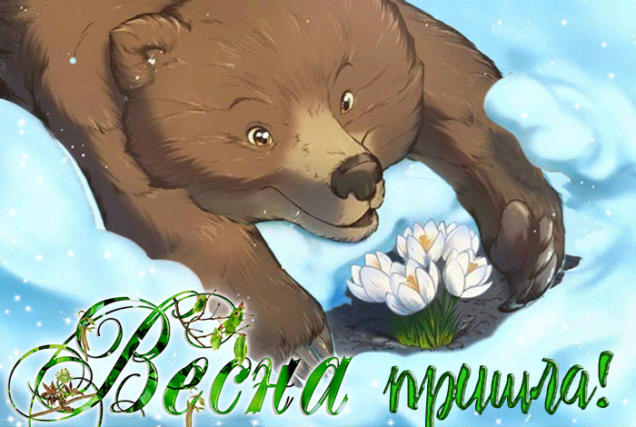 Оригинальная гифка медведь радуется первому подснежнику. Оригинальная гифка медведь радуется первому подснежнику.