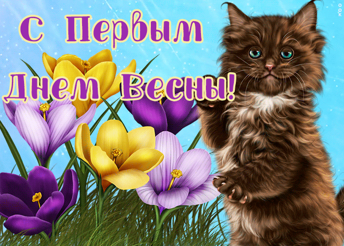 Милая gif картинка с кошкой и цветами для женщины в первый весенний день. Милая gif картинка с кошкой и цветами для женщины в первый весенний день.