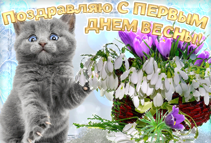 Смешная гифка котёнок поздравляет с первым весенним днём и дарит подснежники. Смешная гифка котёнок поздравляет с первым весенним днём и дарит подснежники.