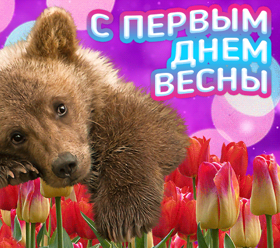 Мишутка поздравляет всех женщин с началом весны. Мишутка поздравляет всех женщин с началом весны.