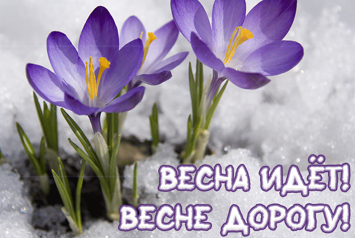 Мигающие подснежники, Весна идёт, весне дорогу. Мигающие подснежники, Весна идёт, весне дорогу.