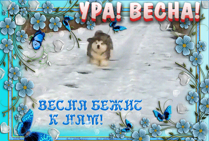 Смешная анимашка весна бежит к нам. Смешная анимашка весна бежит к нам.