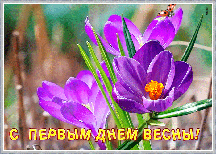 Виртуальная открытка с первым днем весны Виртуальная открытка с первым днем весны