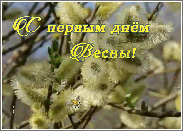 Живая открытка C первым днем весны Живая открытка C первым днем весны