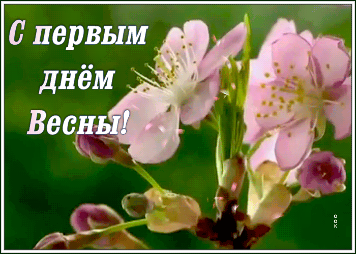Гиф С весной вас друзья мои. Гиф С весной вас друзья мои.