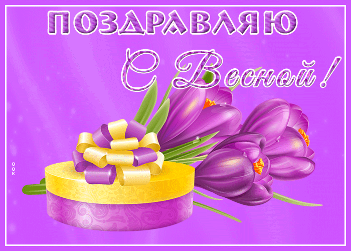 Розовые тюльпаны на 1 Марта. Розовые тюльпаны на 1 Марта.